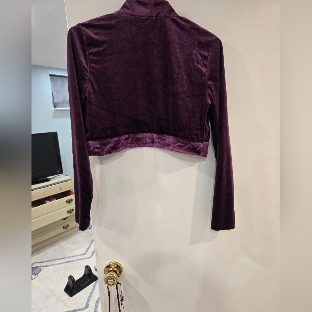Plush Purple Velvet Top